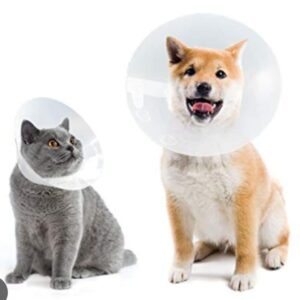 Cono/Collar  Isabelino Perros y Gatos