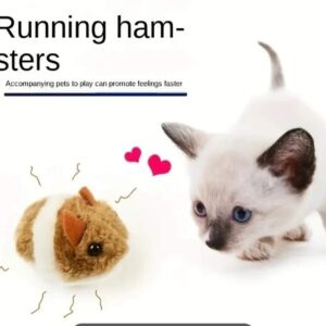 Ratón Juguete Interactivo Corredor